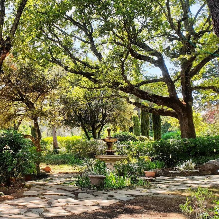 Апартаменты Domaine Du Bois D'Amont Кабри Экстерьер фото