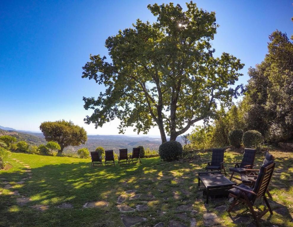 Апартаменты Domaine Du Bois D'Amont Кабри Экстерьер фото